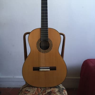 Toshihiko Nakade acoustic guitars for sale in Netherlands | guitar-list