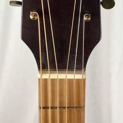 1966 Noname German archtop image 5