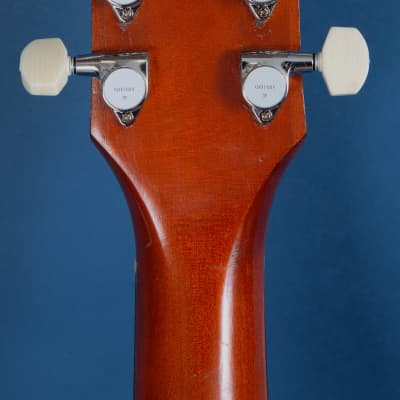 Harmony H165 / X-Brace Conversion / 1958-68 / Gimme the Works! image 6