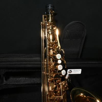 Eastman EAS650 Professional Alto Saxophone - Brass image 4