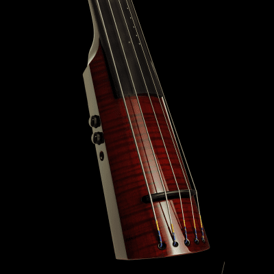 NS Design NXT4 Upright Electric Bass - Black | Reverb