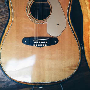 Fender Shenandoah XII 1965. 12 String Acoustic Guitar with Orig Case image 4