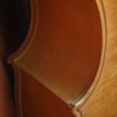 Kay M1 1950 Violin Bass Blonde image 12