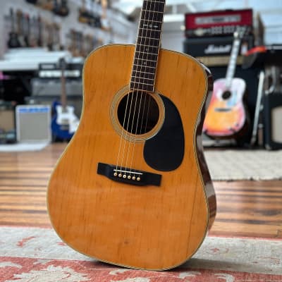 Tokai Gakki Cat's Eyes CE-250 Acoustic | Reverb