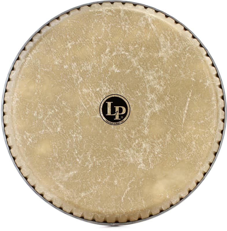 Latin Percussion Fiberskyn Conga Head - 12-1/2 inch - Tumba (2-pack) Bundle image 1