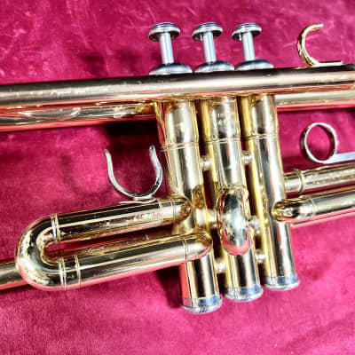 Yamaha Trumpet YTR 2310 Shippinng EMS From Japan YTR2310 for