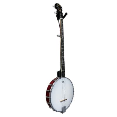 Washburn B7-A 5 String Open-Back Banjo - Natural Red Matte Finish for sale