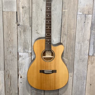 Teton STG100CENT Spruce Cutaway Guitar Acoustic/Electric EXTRAS Help Support Small Business , Thanks image 18