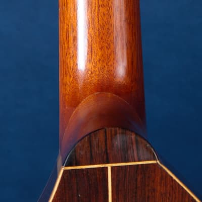 Giannini Craviola AWKNS6 / Nylon String and Bossa Ready! image 8