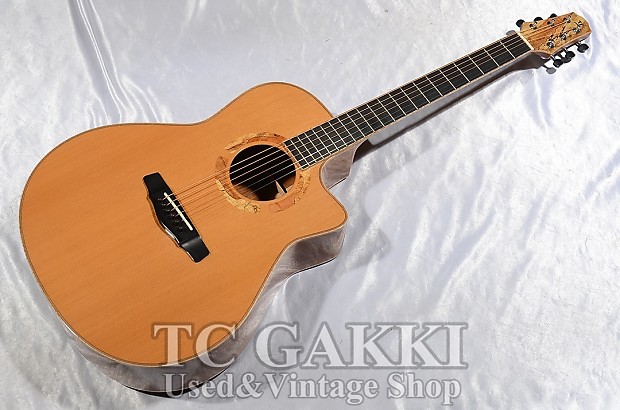 Yokoyama Guitars AR CM image 1