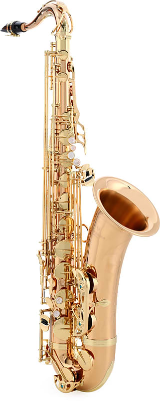Yanagisawa TWO2 Professional Tenor Saxophone - Bronze image 1