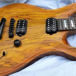 Menapia Monroe#9 with Handmade Chambered Body PRS style image 15