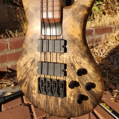 Spector NS-4H2 (NS4H2) Buckeye Burl Maple Bass Guitar with 