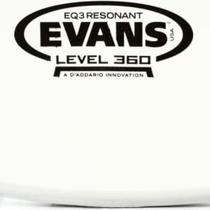 Evans EQ3 Coated Bass Resonant Head - 24 inch image 2