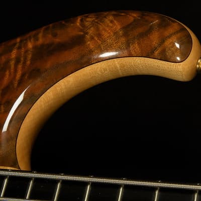 Used Alembic 5-String Bass image 5