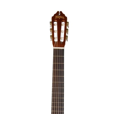 Washburn C5 Classical Series Acoustic Guitar image 6