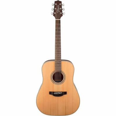 Takamine GD20-NS Acoustic - Natural for sale