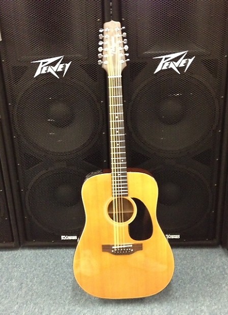 Takamine hot sale ef 385