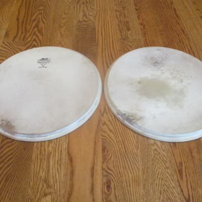 Leedy (2) Matching Vintage 13 Inch Calf Skin Tom Tom  Heads, Early 60 Or 50s, Very Playable! image 4