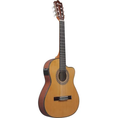 IBANEZ GA5TCE3Q-AM 3/4 Thinline Cutaway Elektro-Akustik-Gitarre, amber high gloss for sale