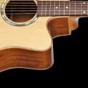Teton STS110CENT Acoustic Electric Dreadnought Guitar ONLY, Solid Spruce Top, Ovangkol Veneer B&S