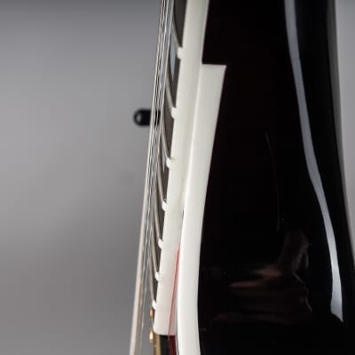 Gibson Les Paul Axcess Custom, Bengal Burst | Demo image 17