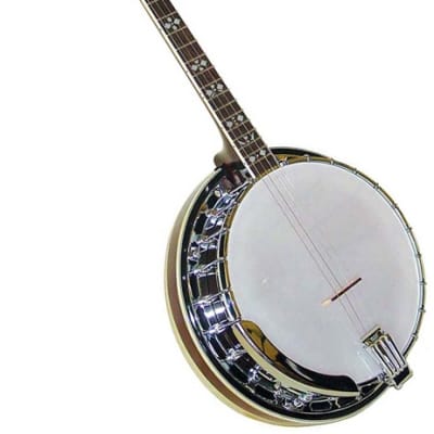 Gold Tone TS-250 Tenor Special Banjo TS-250 w/case image 2
