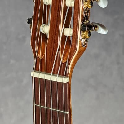 Godin Etude Classical Guitar image 5