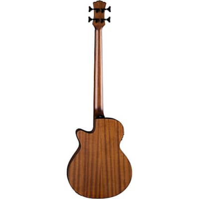 Luna Tribal Acoustic / Electric Bass 34 Inch Scale TSB image 2