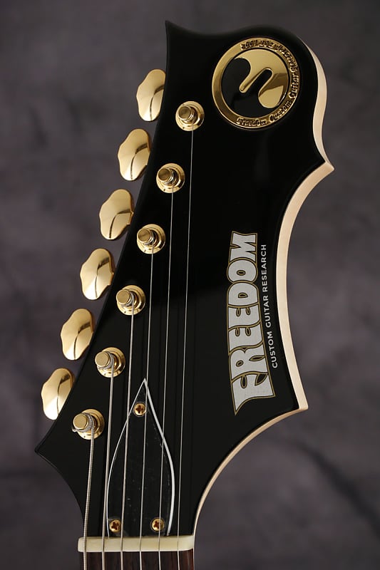 Freedom Custom Guitar Research RRS Bravery-11 Light Weight Ash Body Sasuke  (S/N:21121104) [03/12]