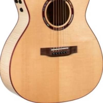 Teton STG130FMEPH Grand Concert , Solid Spruce Top, Flame Maple Back & Sides Purple Heart Binding, C image 3