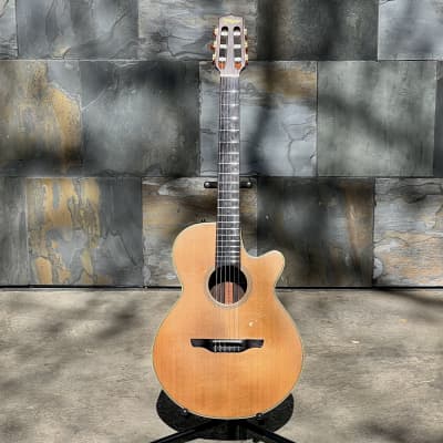 Used Takamine NPT-110(n) Nylon Acoustic Guitar with Hardcase image 3