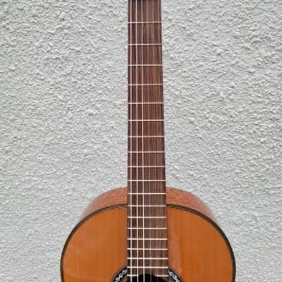 Cordoba C9 Parlor Classical Guitar Natural 2023 image 6