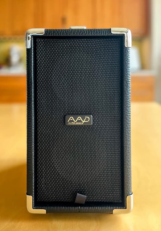 AAP by Phil Jones CUB AG-100 Acoustic Guitar Amp