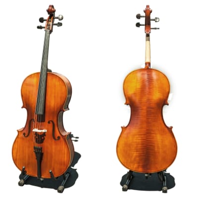Paititi CE3005PE Scholar 256 Ebony Fitted Matte Finish Solid Wood Cello with Case and Bow 1/2 Size image 2