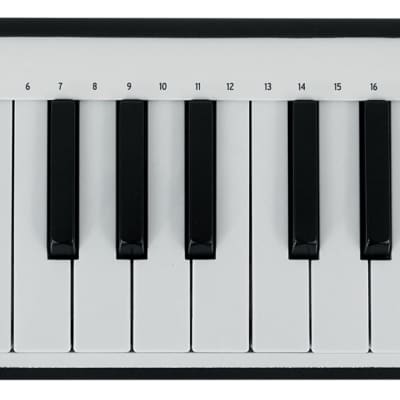 Arturia MicroLab Black Music Production USB MIDI 25-Key Keyboard Controller image 1