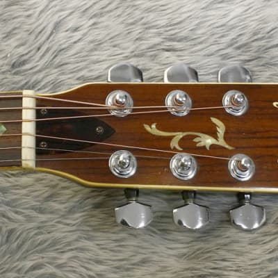 ギター Hillbilly W-45 Rare 1970's Japan Vintage Hillbilly by SUZUKI VIOLIN