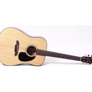 Alvarez Regent Series RD10 Dreadnought Acoustic Guitar Great Shape image 1