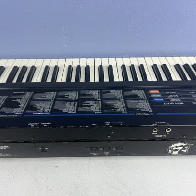 Oberheim Matrix 6 61-Key 6-Voice Synthesizer | Reverb