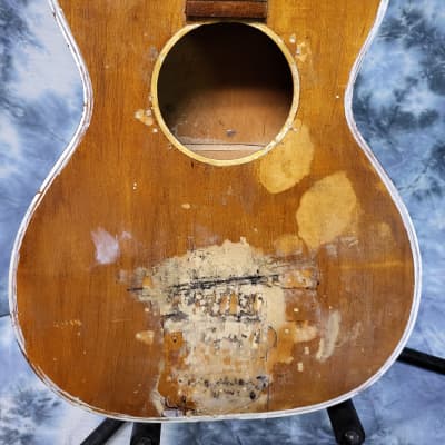 1950's Regal Parlor Guitar Project Needs Everything Luthier Parts image 2