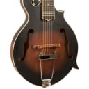 Gold Tone F-6 F-Style Mandolin Guitar Hybrid Instrument with Pickup and Case