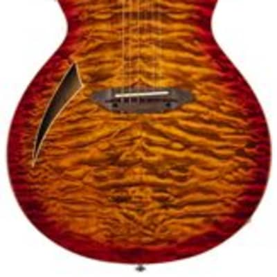 ESP LTD TL6QM Acoustic Electric Thinline Guitar Tiger Eye image 1