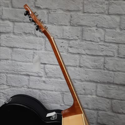 Washburn AG40CEK-A-U Arch top Guitar w/Hardcase image 7