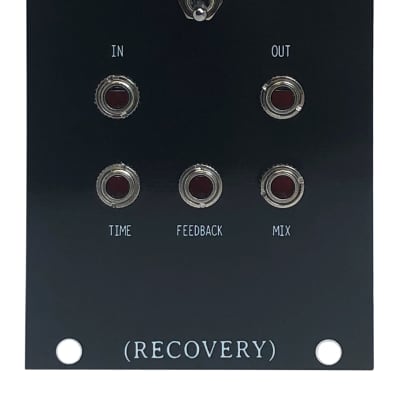 Recovery Effects and Devices Dirty Murals Delay Reverb Echo Eurorack Module image 1