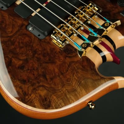 Alembic Series II V - Burl Walnut | Reverb