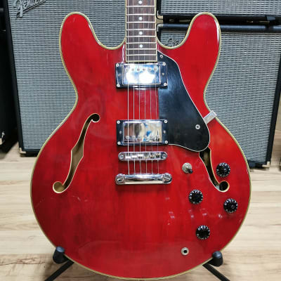 Jay Turser JT-135 Semi-Hollow Electric Guitar - Rosewood