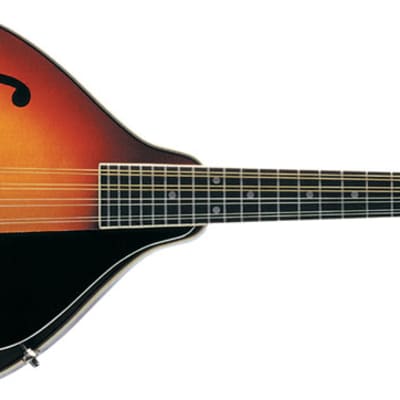 Washburn M1S-A | A-Style Mandolin with Solid Spruce Top. New with Full Warranty! image 2