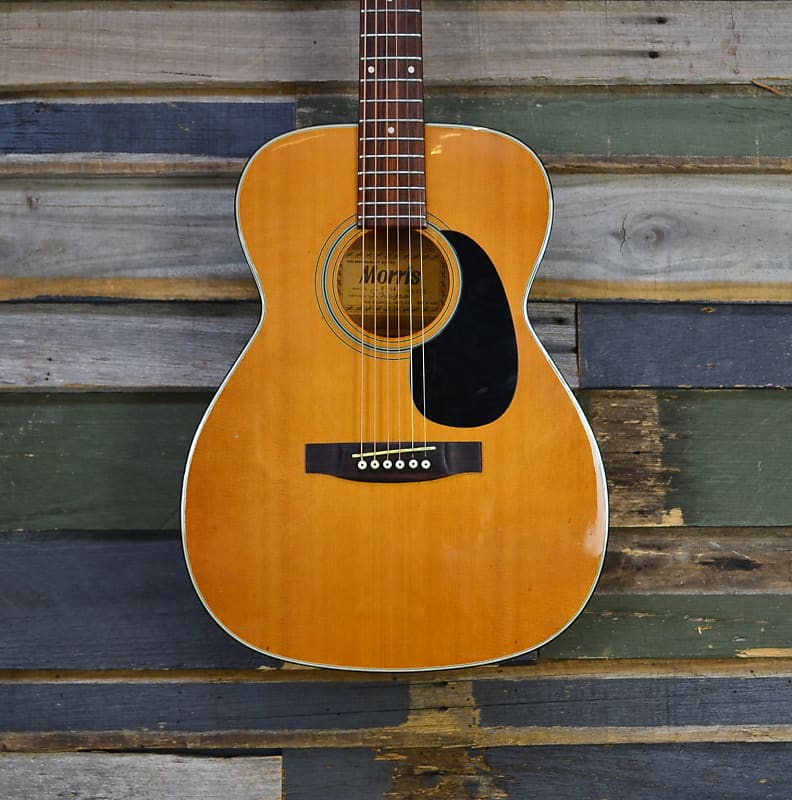 正規店仕入れの guitar Acoustic F-13 Morris 1975 Reverb | Natural ギター