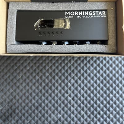 Morningstar ML10X | Reverb