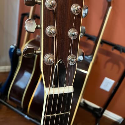 Tokai Hummingbird Custom - W-300 - Acoustic Guitar | Reverb